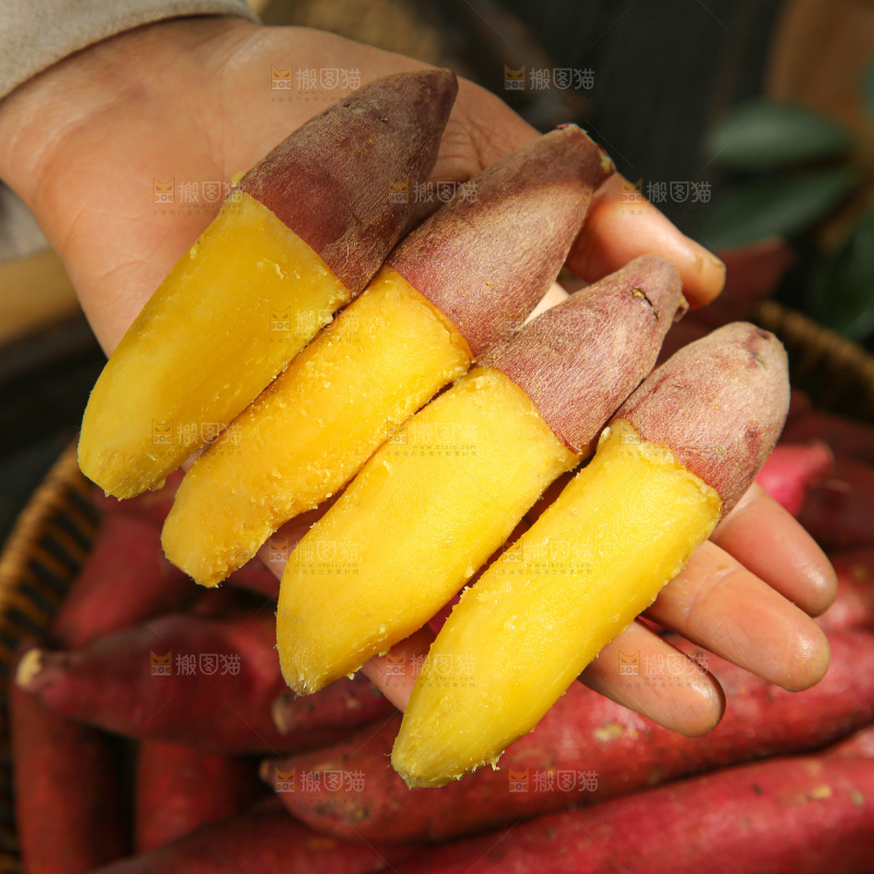 小香薯