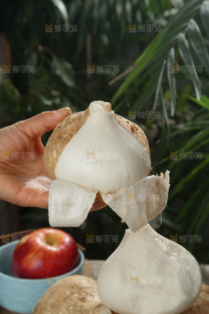 凉薯