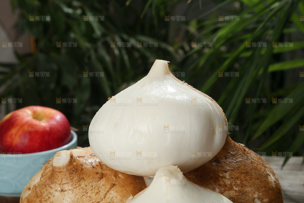 凉薯