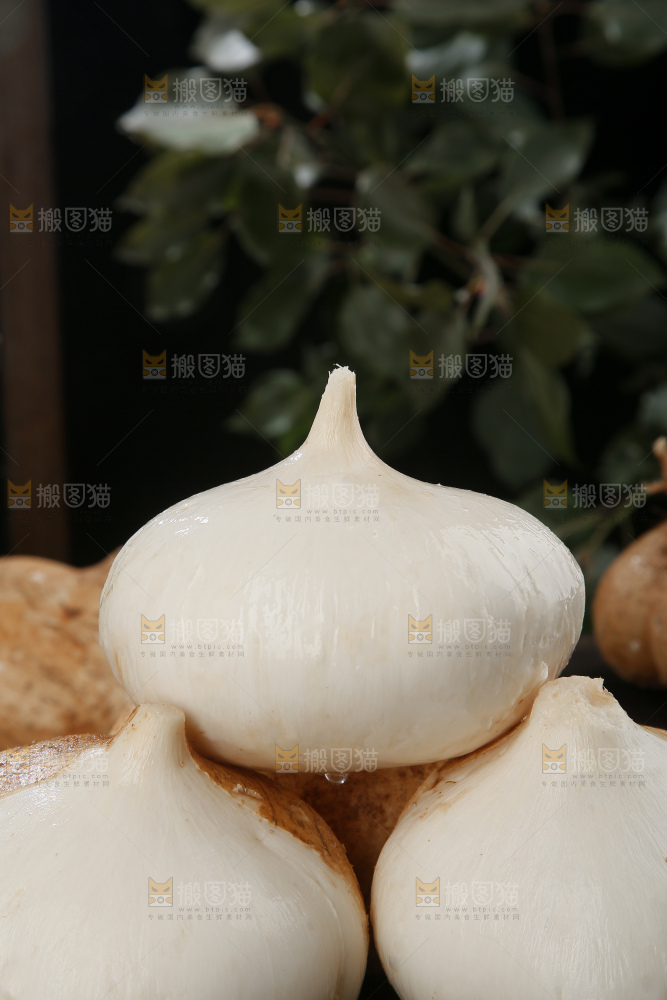 凉薯