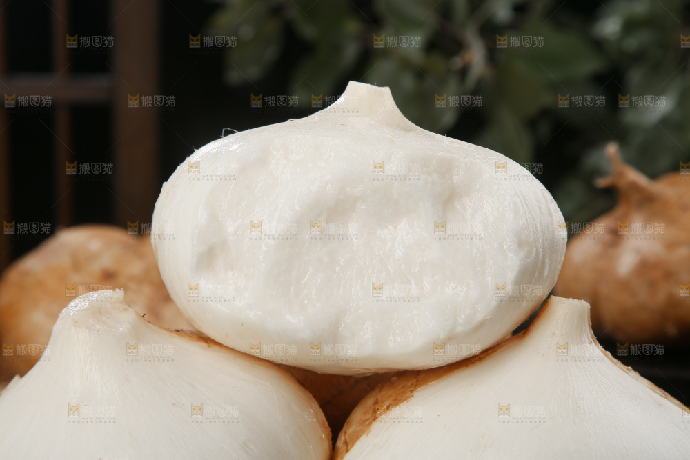 凉薯