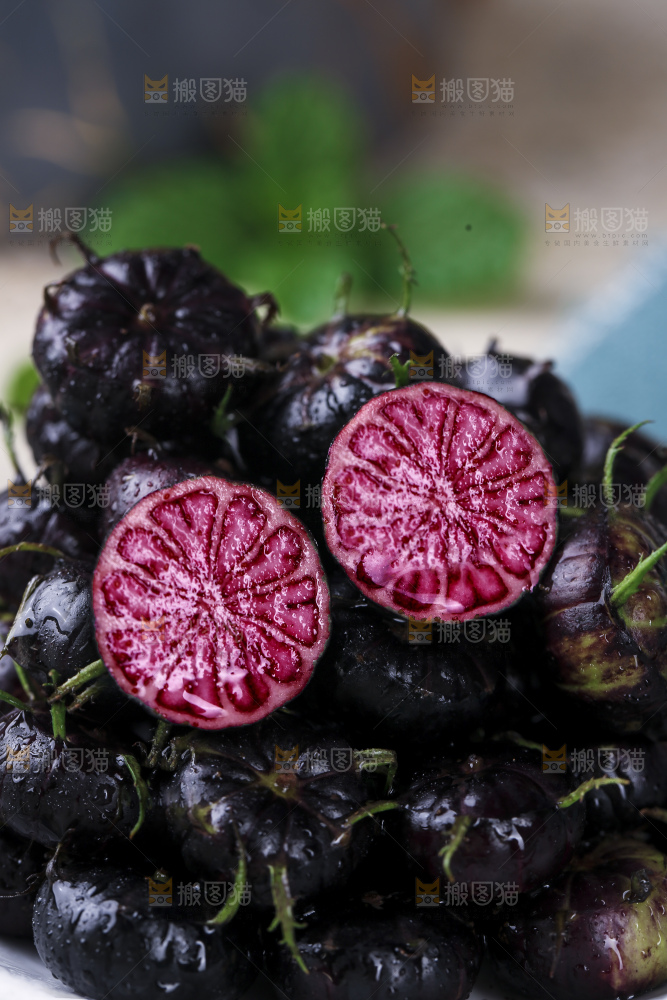红果参