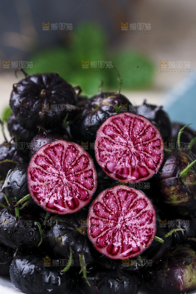 红果参
