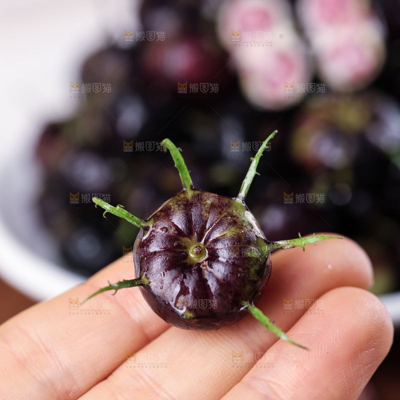 红果参