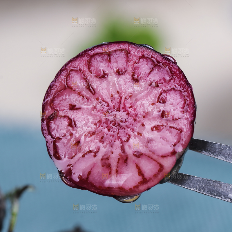 红果参