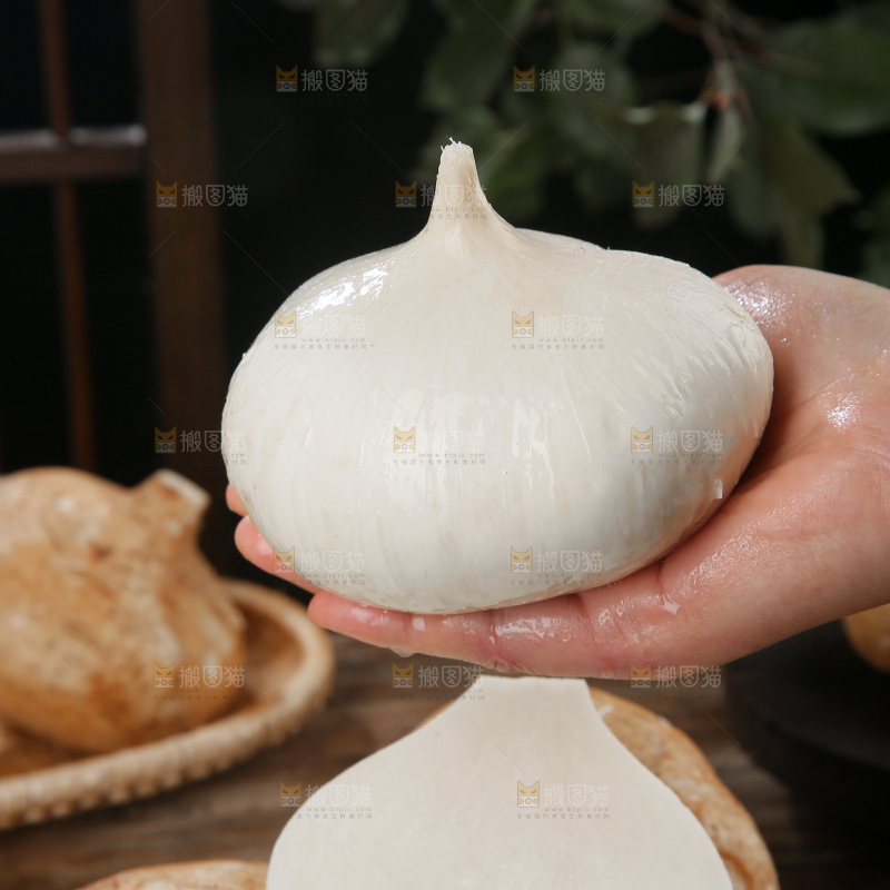 凉薯