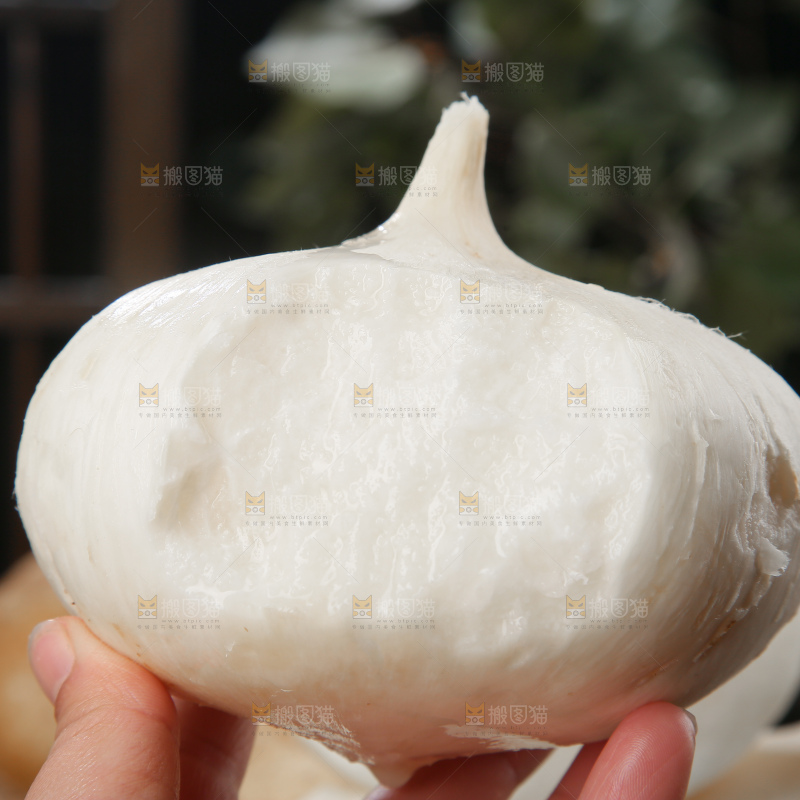 凉薯