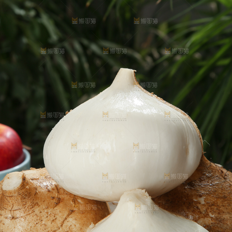 凉薯