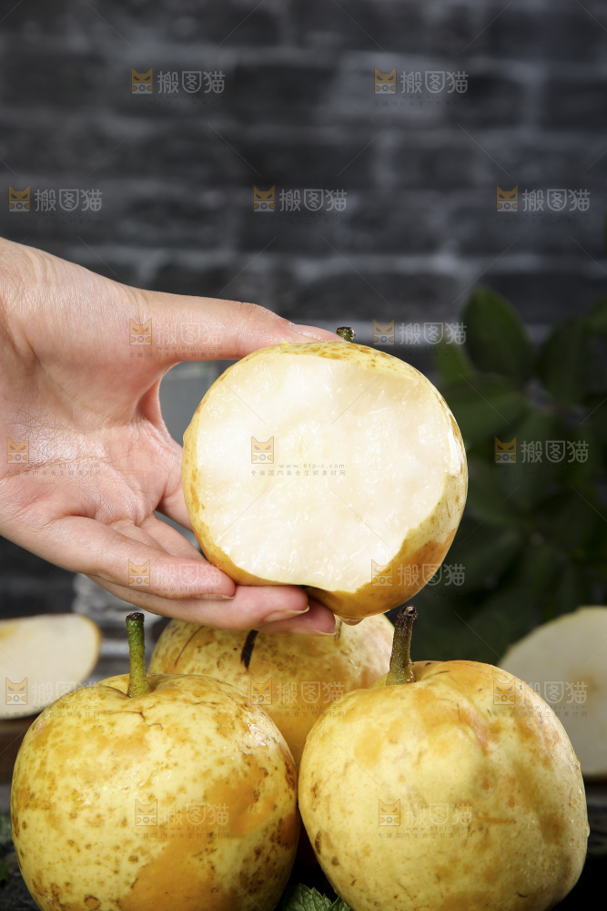 连州水晶梨