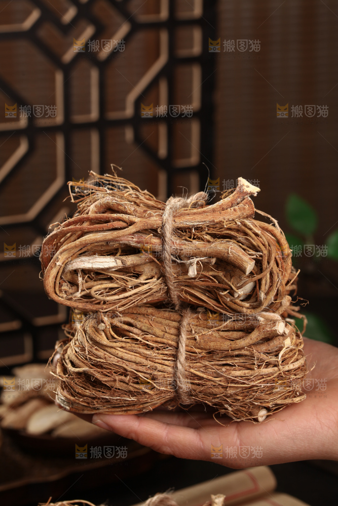 五指毛桃