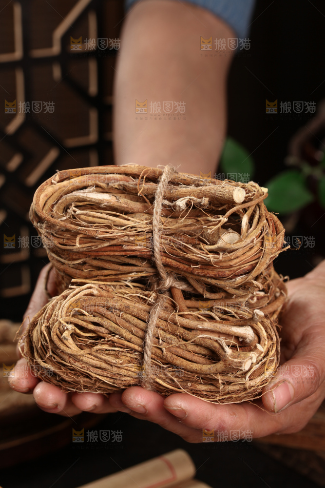 五指毛桃