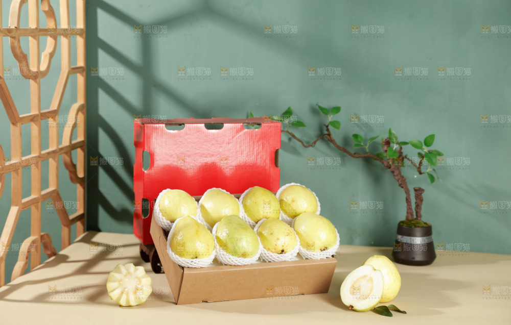白心芭乐