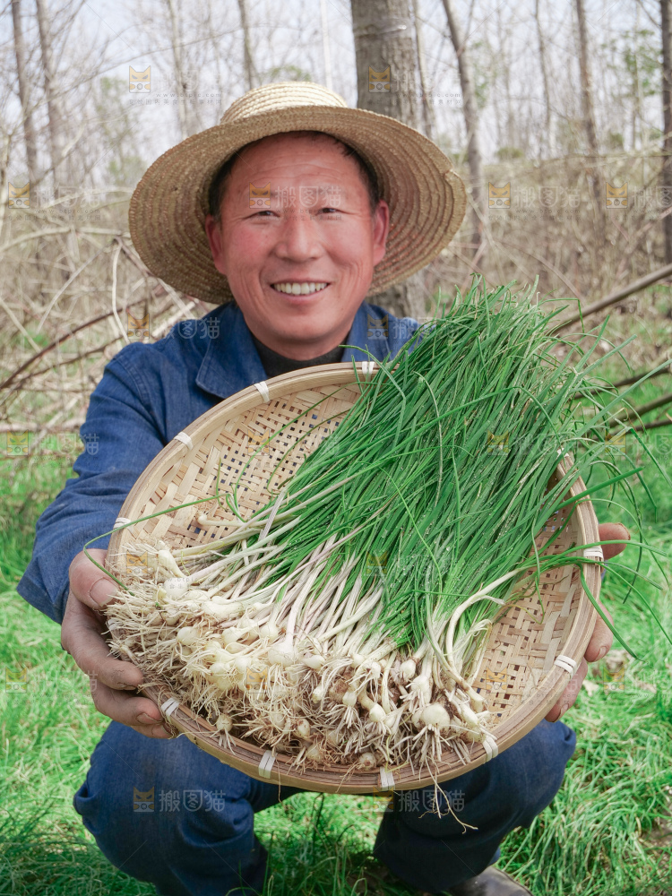 野葱
