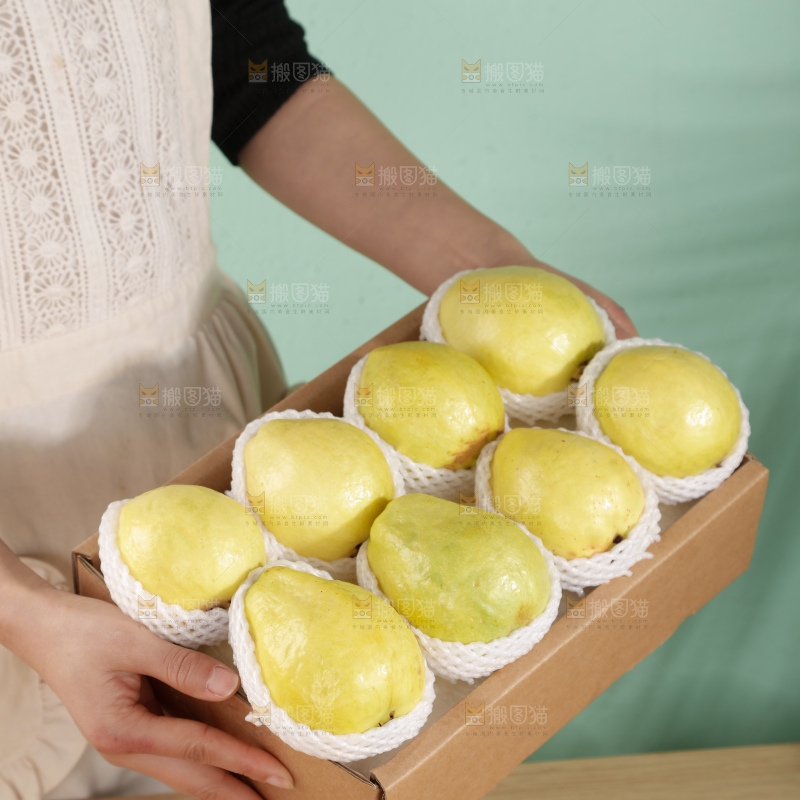 白心芭乐