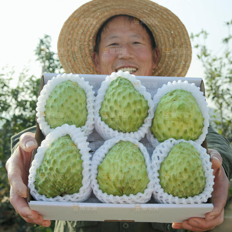 释迦果