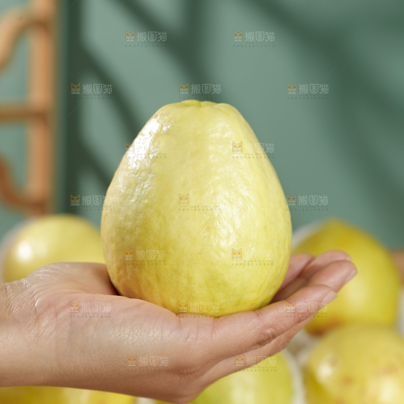 白心芭乐