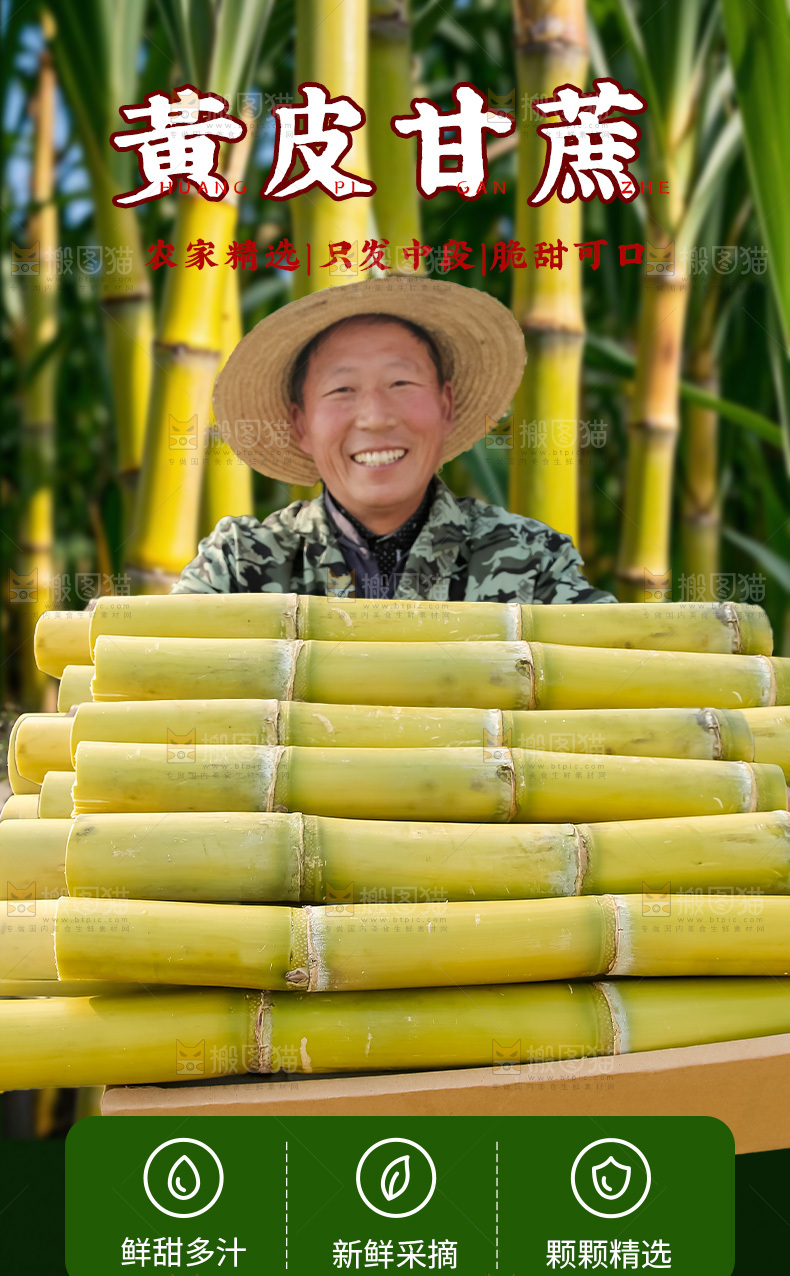 黄皮甘蔗详情页