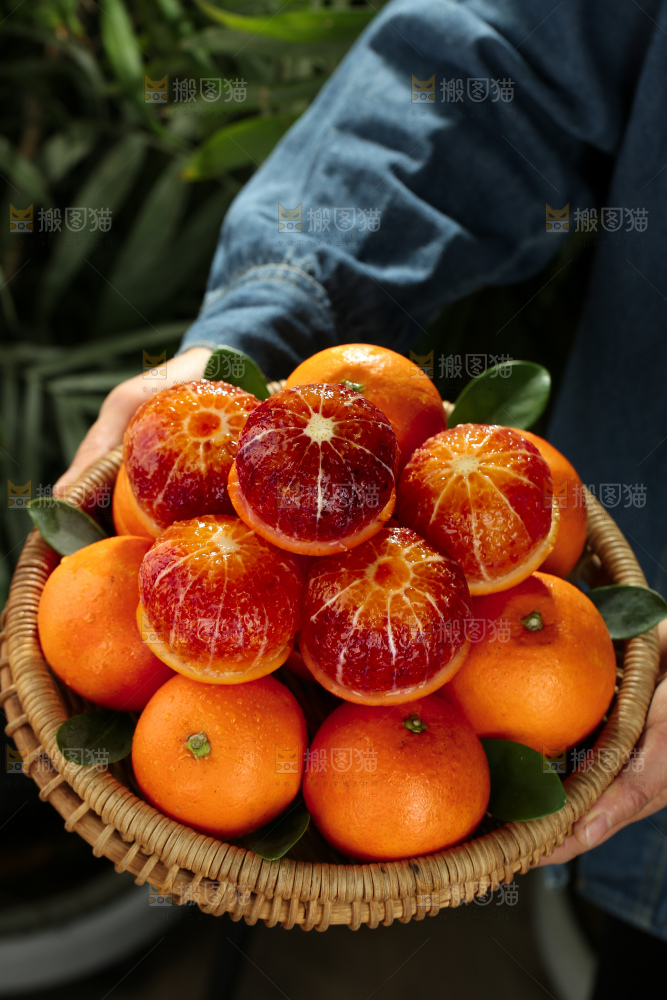 塔罗科血橙