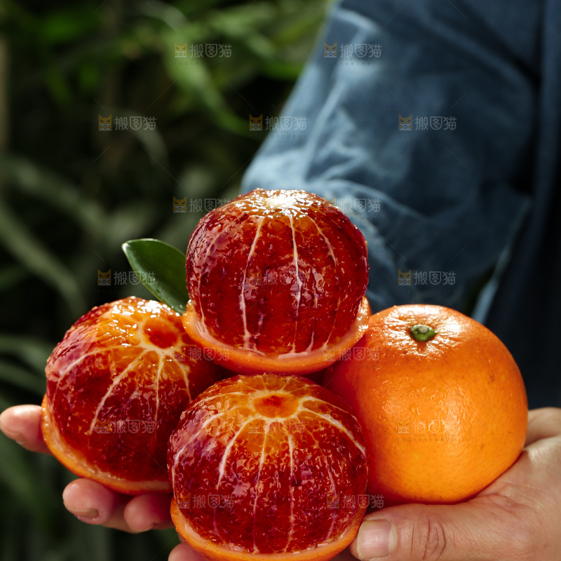 塔罗科血橙