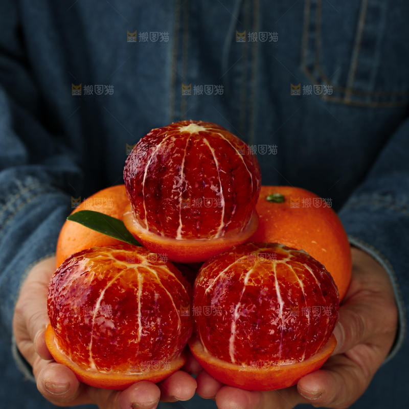 塔罗科血橙