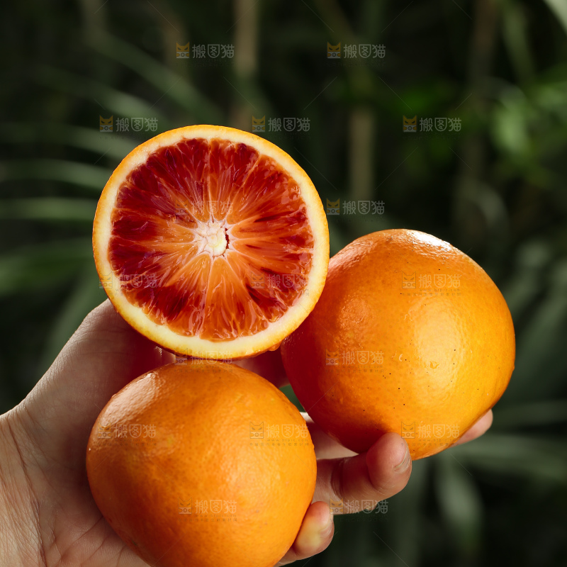 塔罗科血橙