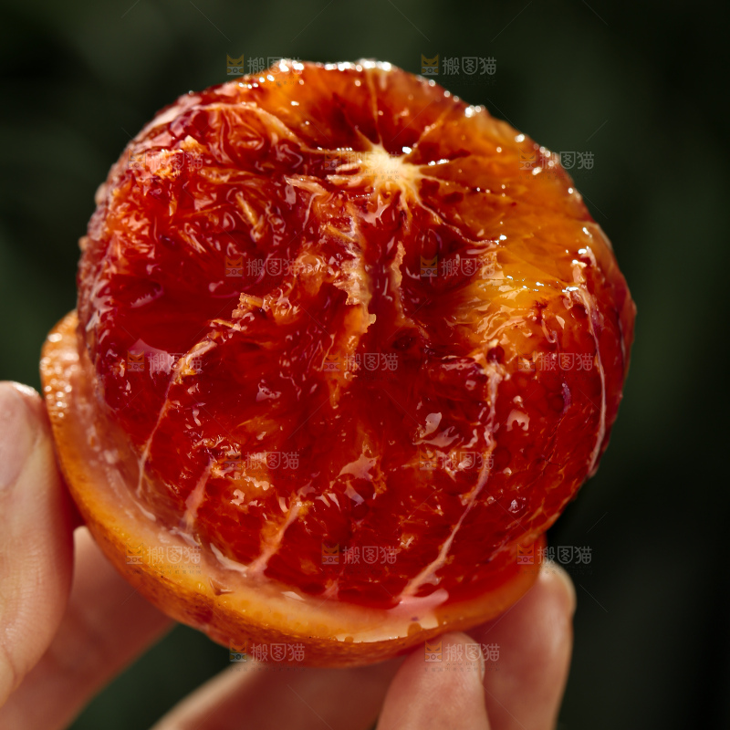 塔罗科血橙