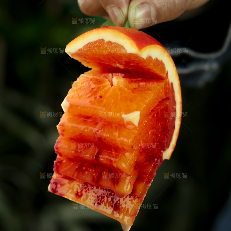 塔罗科血橙