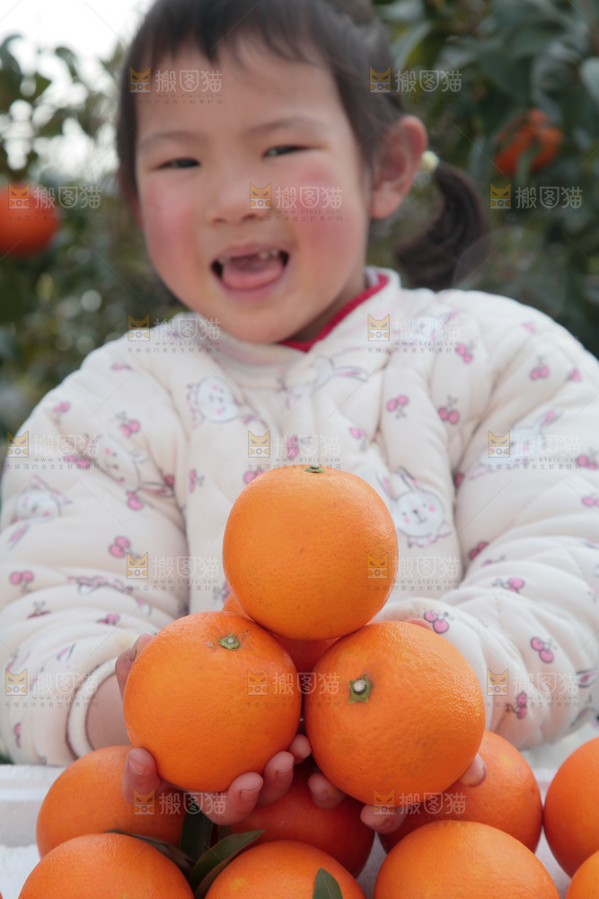 塔罗科血橙