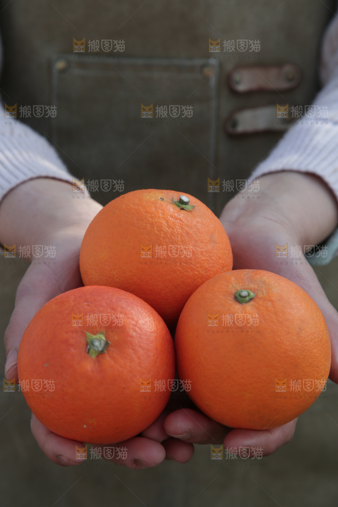 塔罗科血橙
