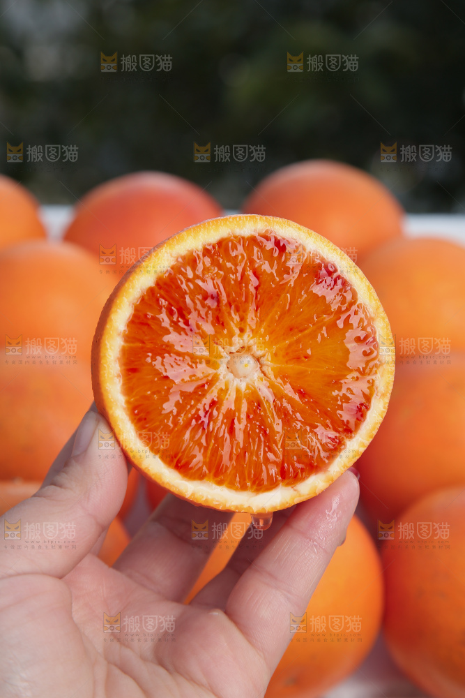 塔罗科血橙