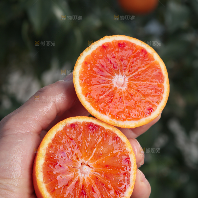 塔罗科血橙
