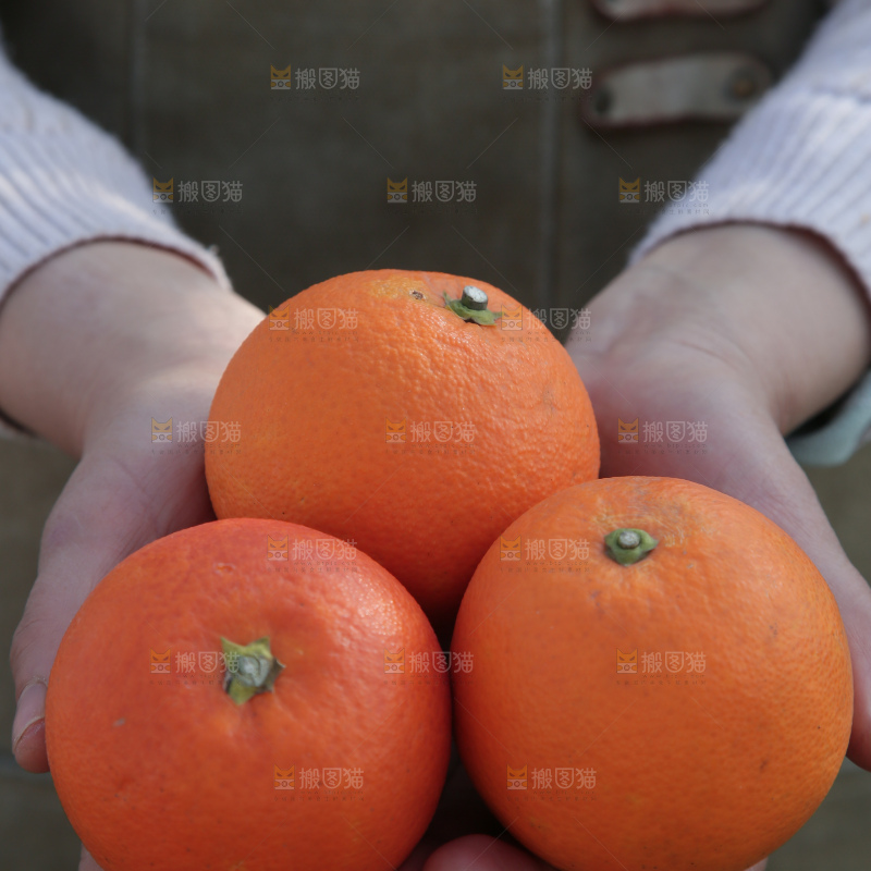 塔罗科血橙