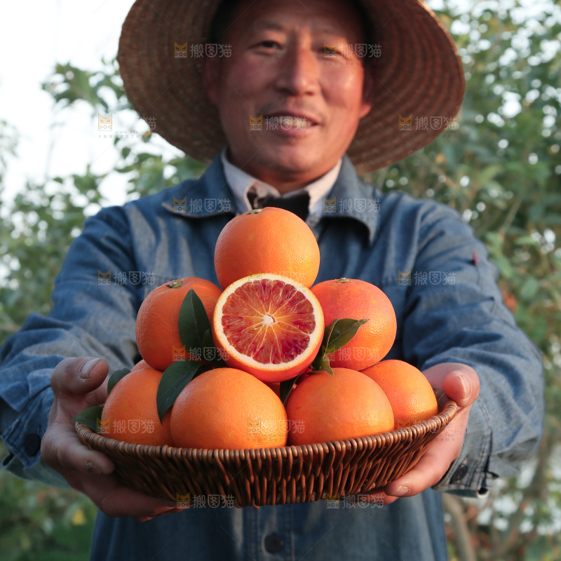 塔罗科血橙