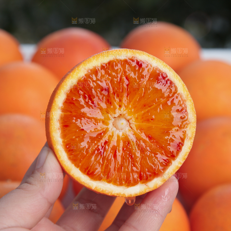 塔罗科血橙