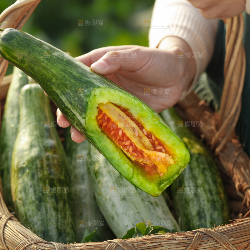 羊角蜜甜瓜