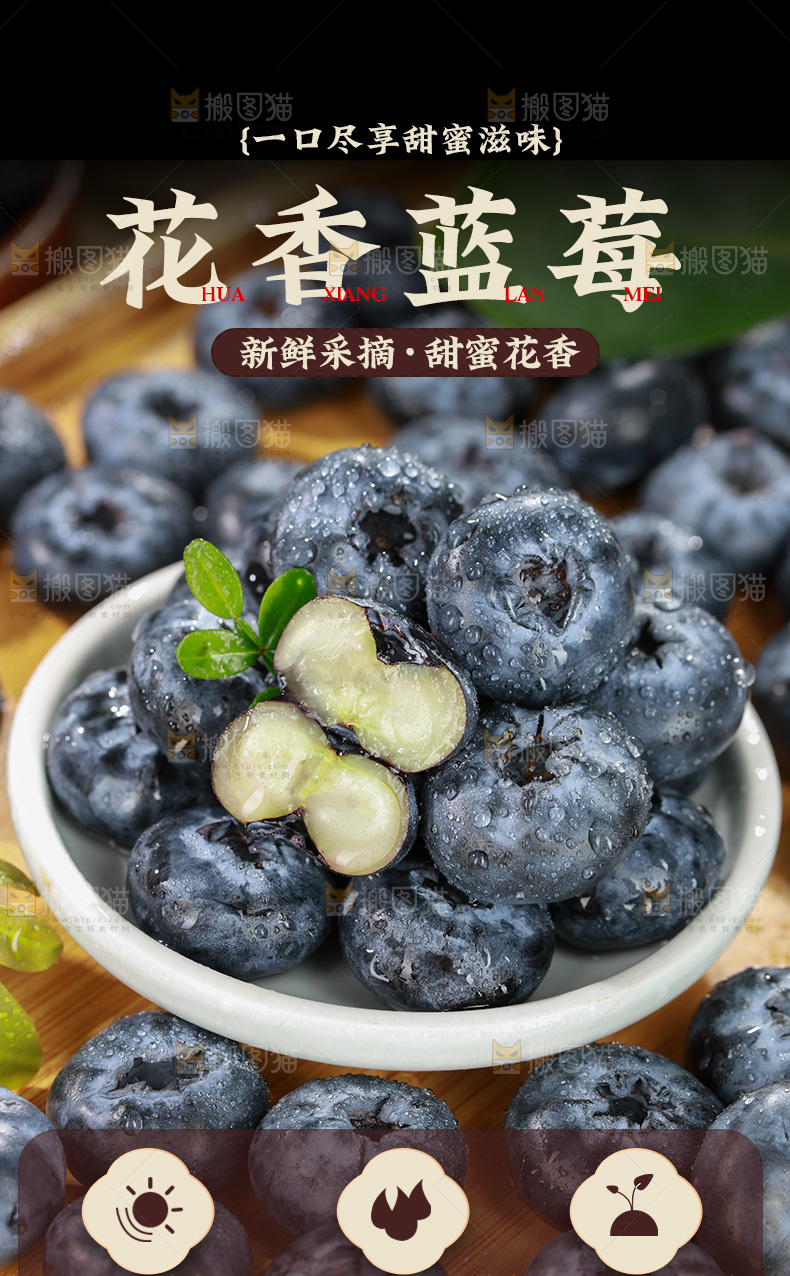 蓝莓详情页