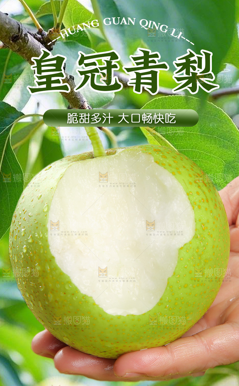 青皇冠梨详情页
