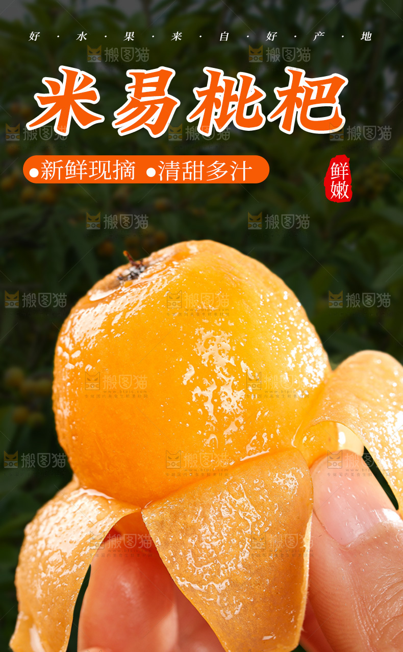 米易枇杷详情页