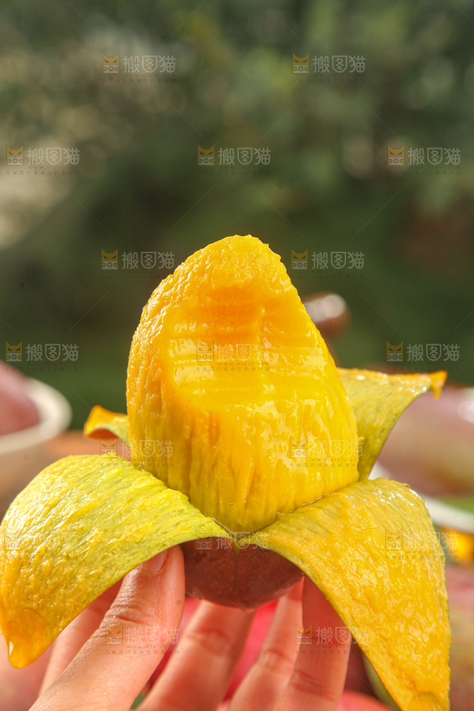 贵妃芒