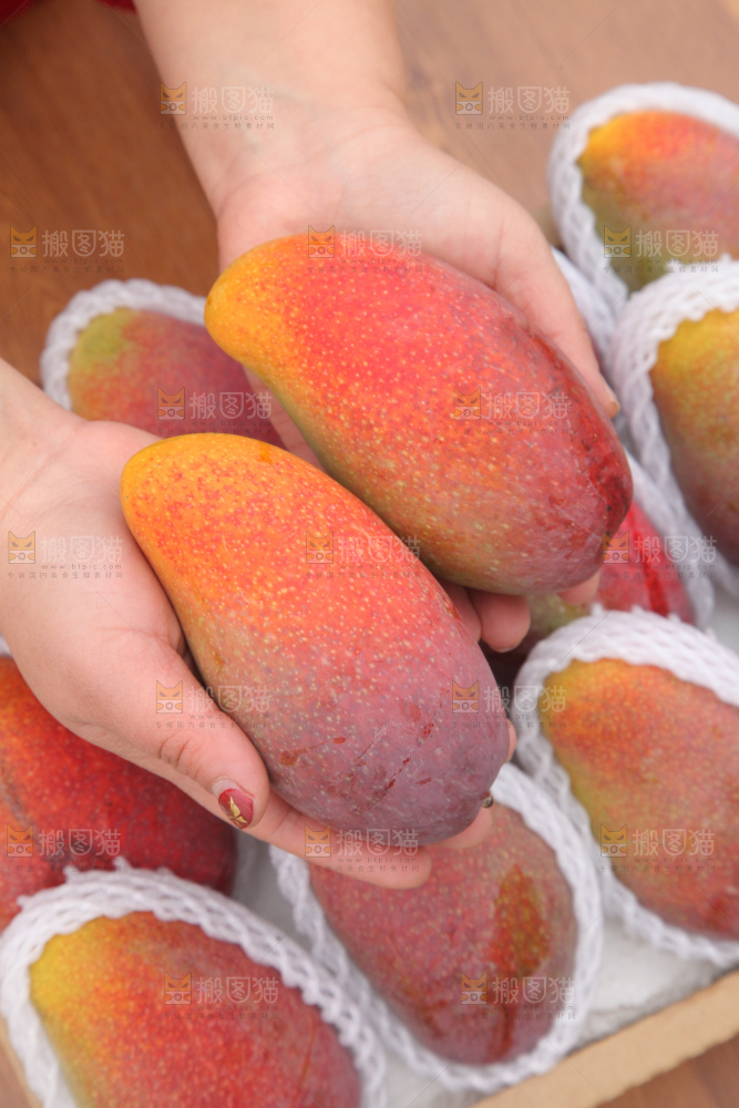 贵妃芒