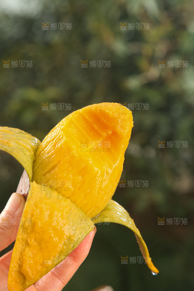 贵妃芒
