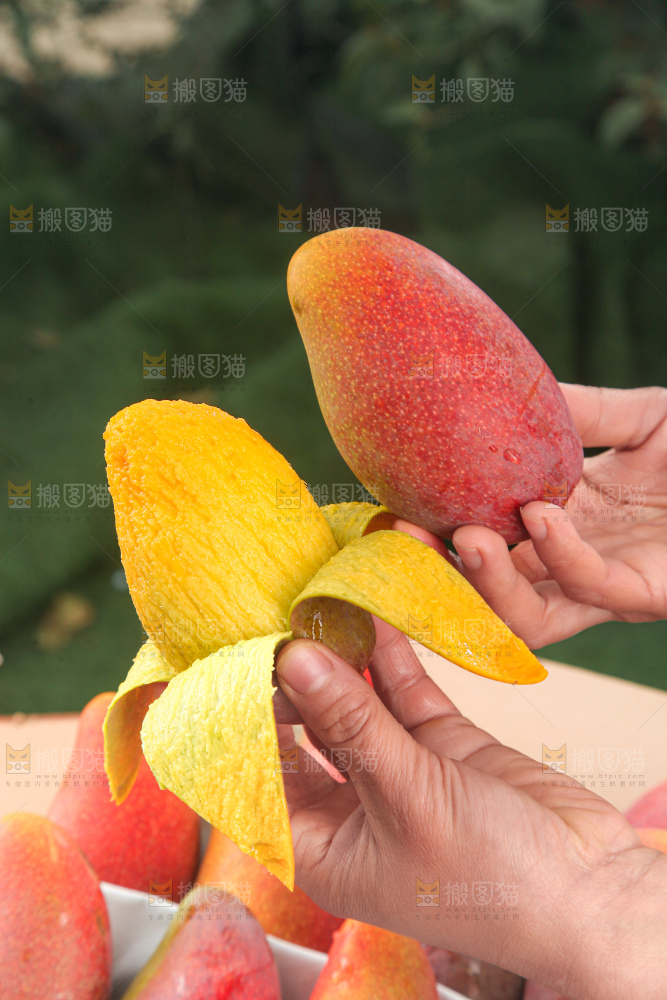 贵妃芒