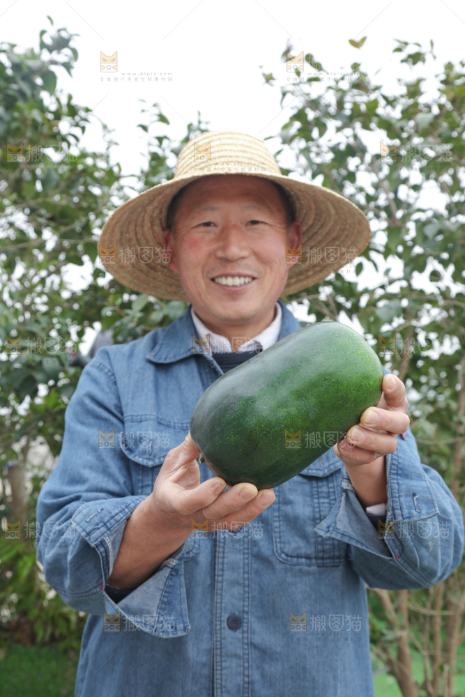 小冬瓜