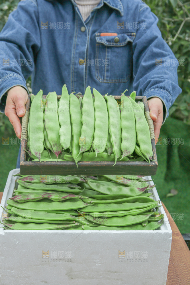 油豆角