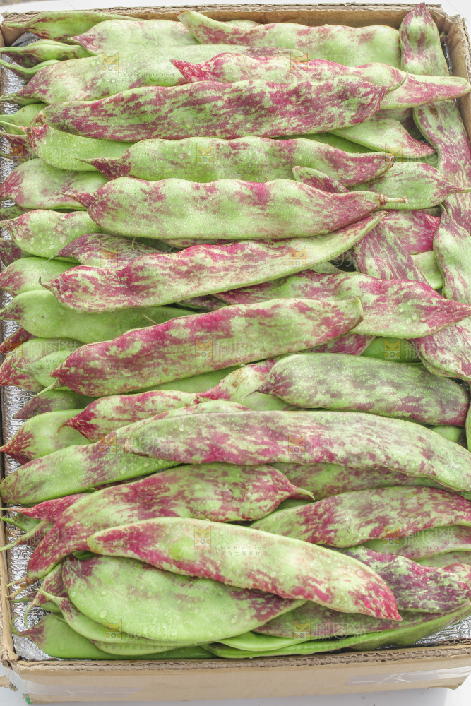 油豆角