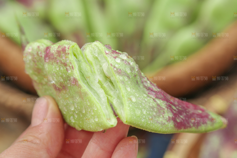 油豆角