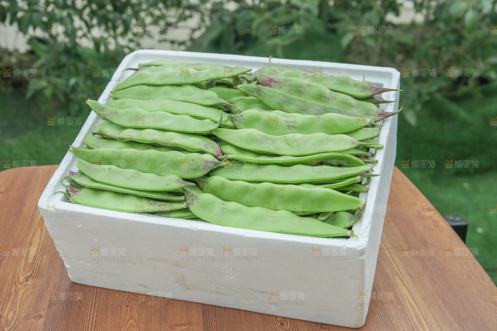 油豆角