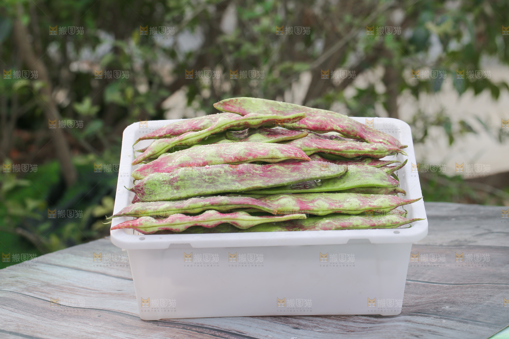 油豆角