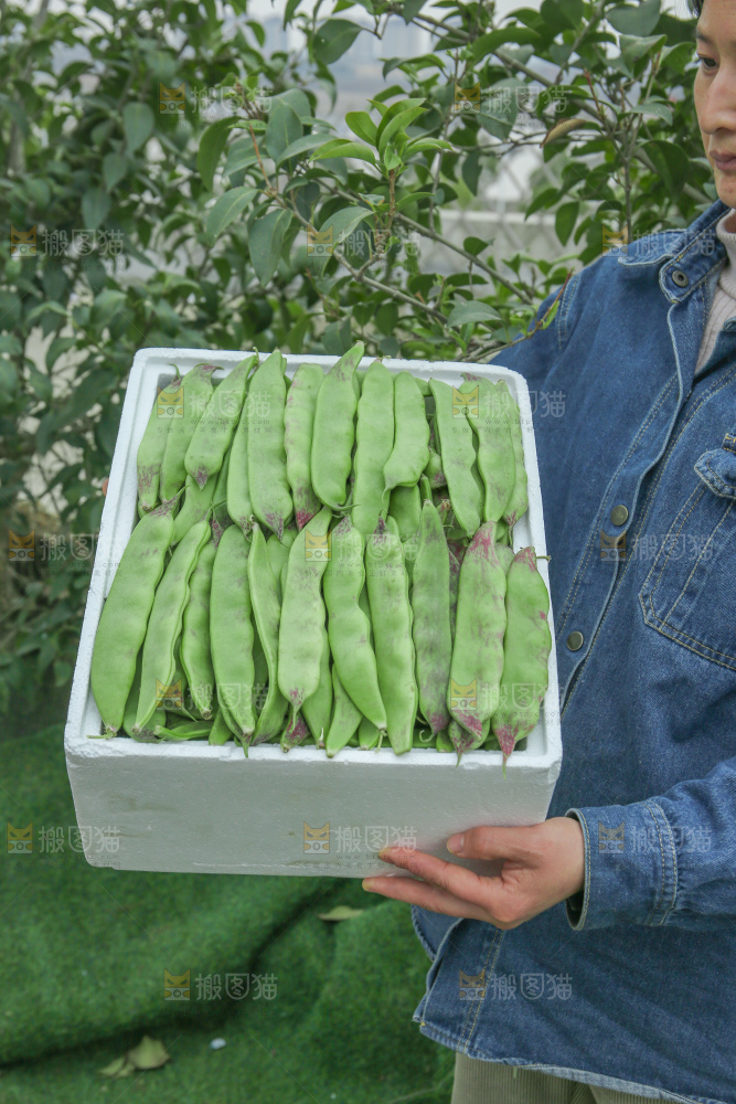 油豆角