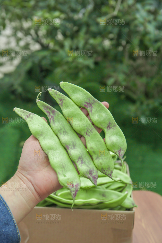 油豆角